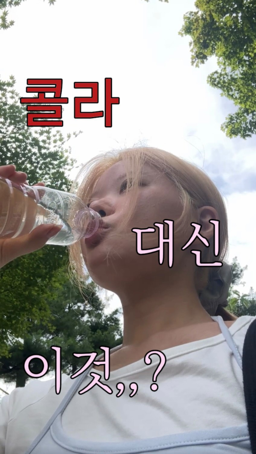 @jiwa.me이 올린 쌍계명차 태그 게시물