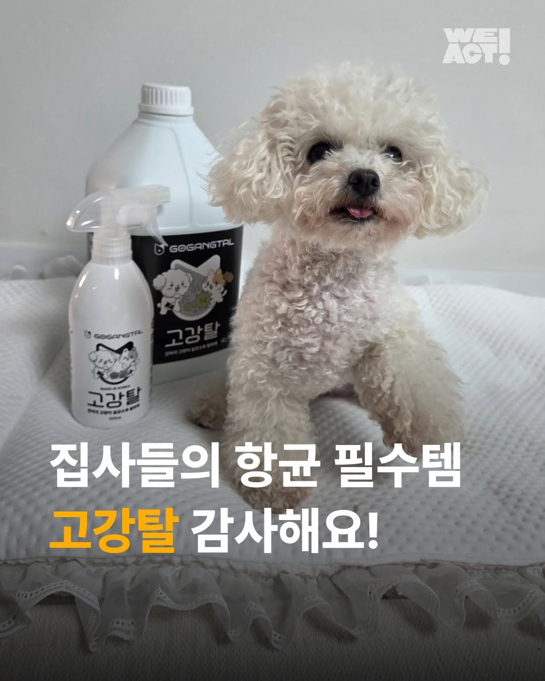 @we.a.c.t이 올린 고강탈 태그 게시물