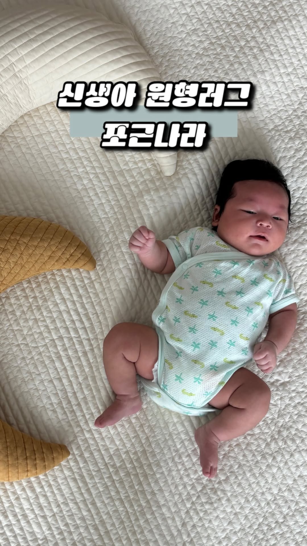 @shimttractive이 올린 포근나라 태그 게시물