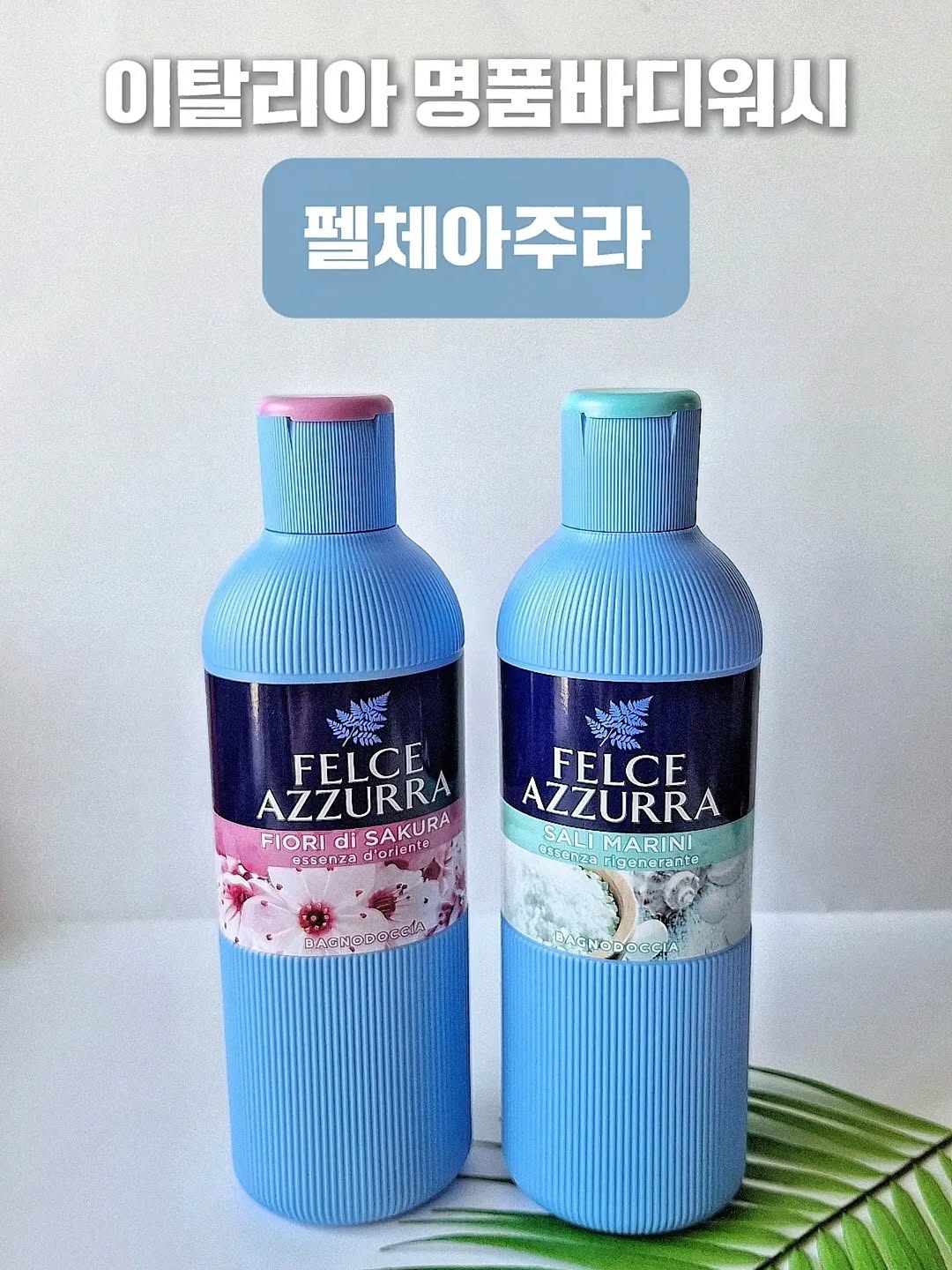 @terrymom_이 올린 자노탁트코리아 태그 게시물