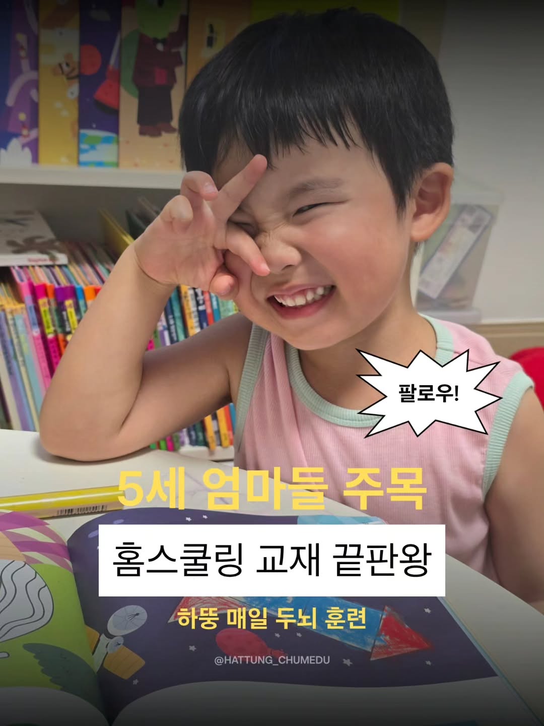 @sswam이 올린 하뚱언니 태그 게시물