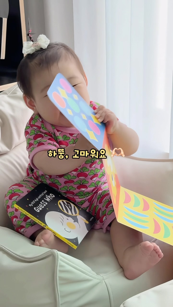 @toktok_thor이 올린 하뚱언니 태그 게시물