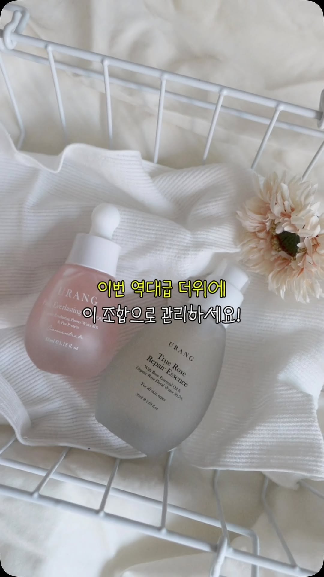 @bebe_taeon이 올린 유랑 태그 게시물