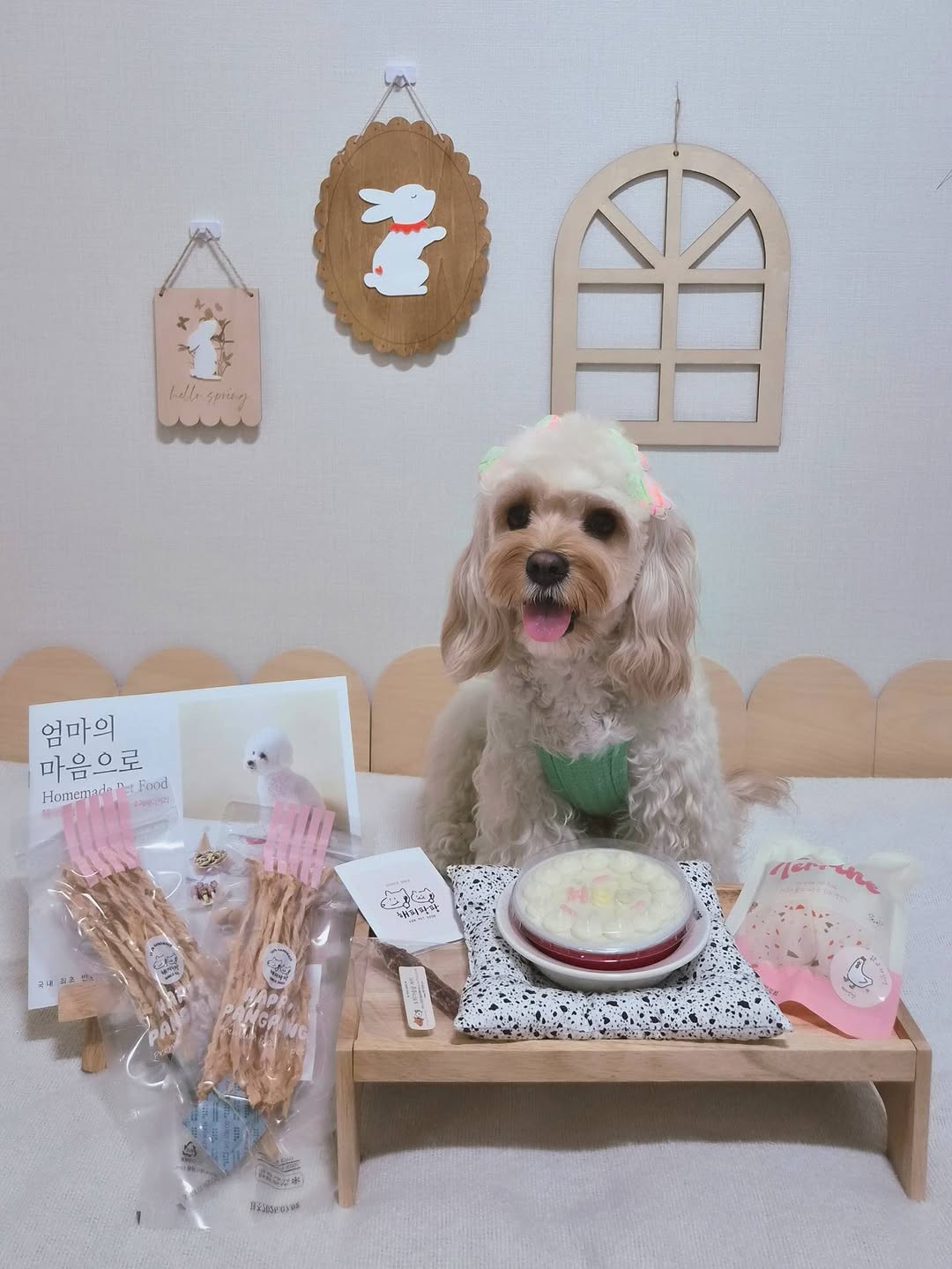 @hoochoo.0702이 올린 해피팡팡｜원조 강아지 수제 간식 전문점 태그 게시물