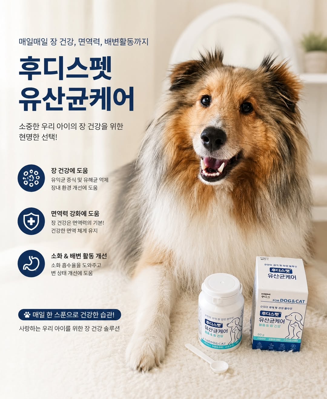 @sheltie_royy이 올린 후디스펫 태그 게시물
