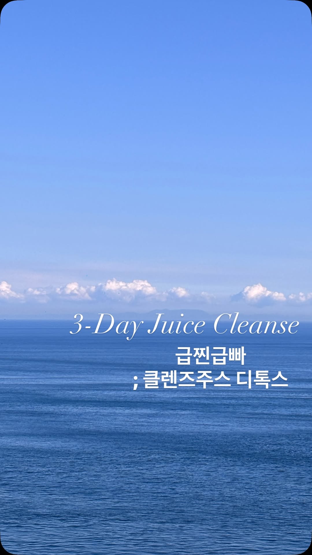 @chaecheese_이 올린 풀무원 디자인밀 태그 게시물