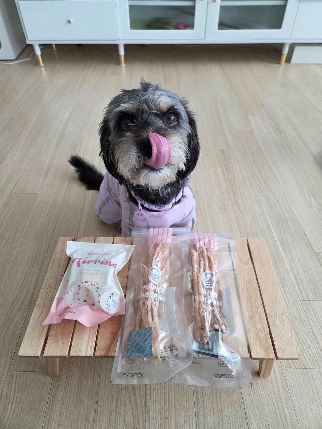 @dorkiegram_choco이 올린 해피팡팡｜원조 강아지 수제 간식 전문점 태그 게시물