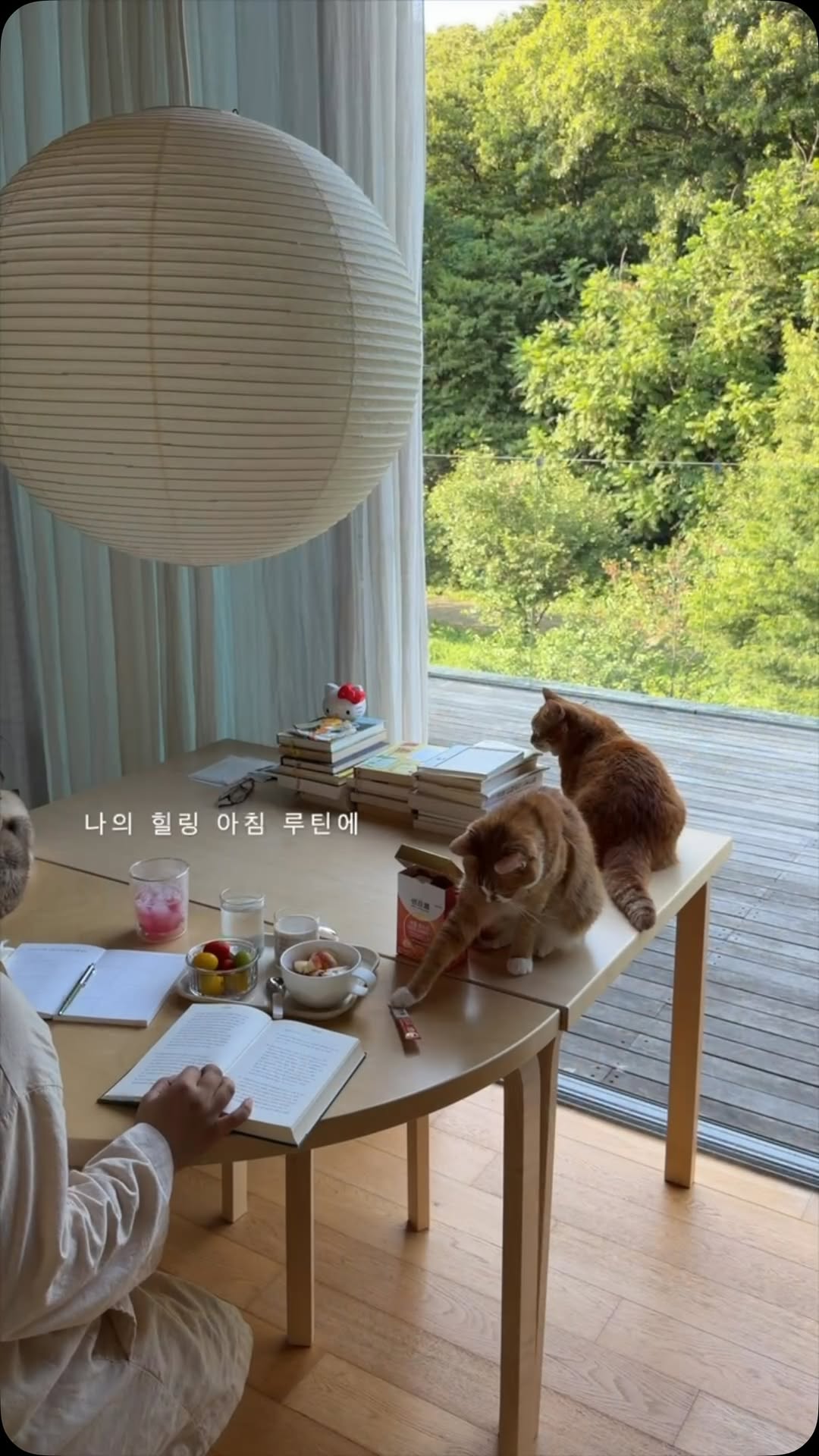 @seoeune이 올린 센트룸 태그 게시물