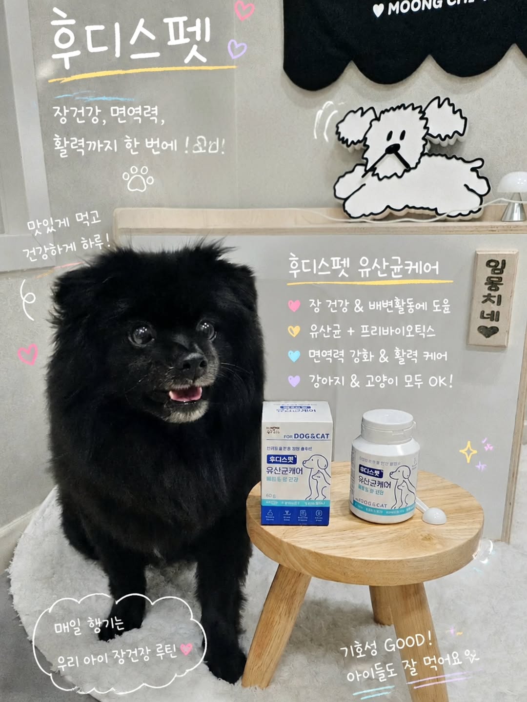 @moongchi._.20210917이 올린 후디스펫 태그 게시물