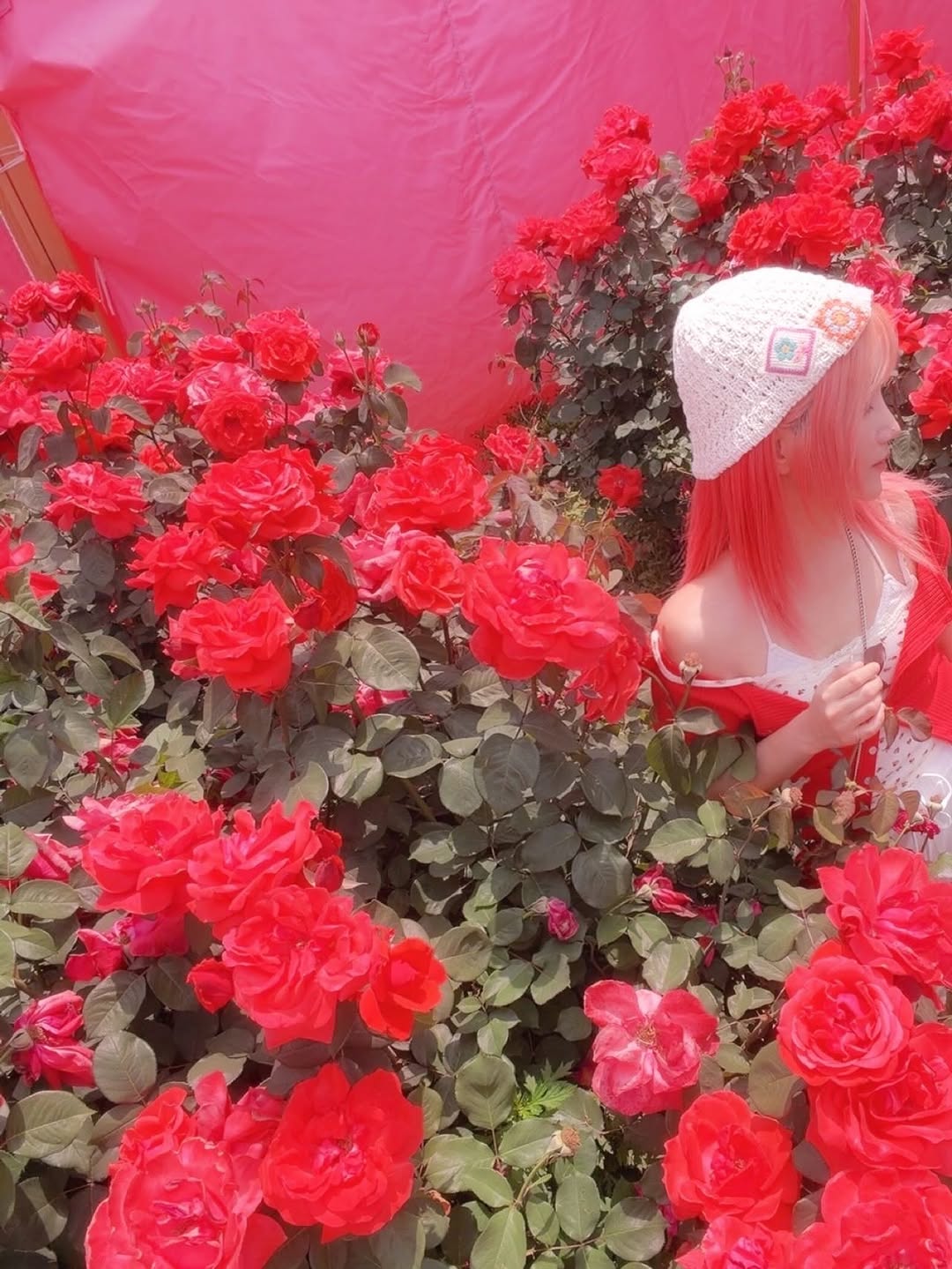 @yyn.ynn이 올린 에브레 태그 게시물