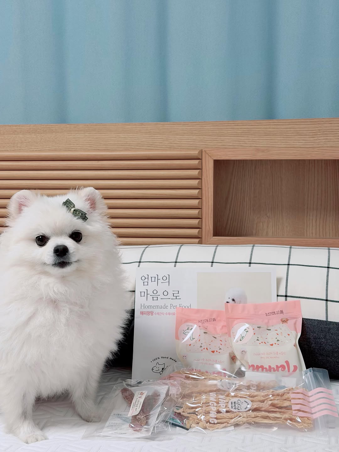 @po._.yaa이 올린 해피팡팡｜원조 강아지 수제 간식 전문점 태그 게시물