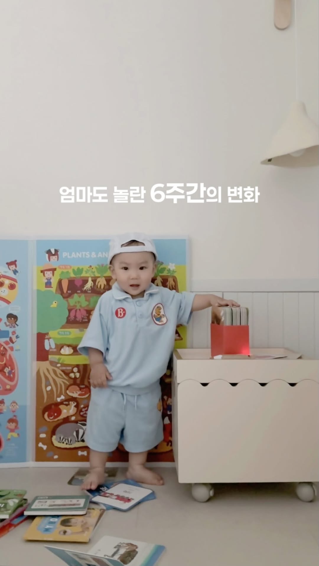 @l2__house이 올린 Hattung® 하뚱 태그 게시물