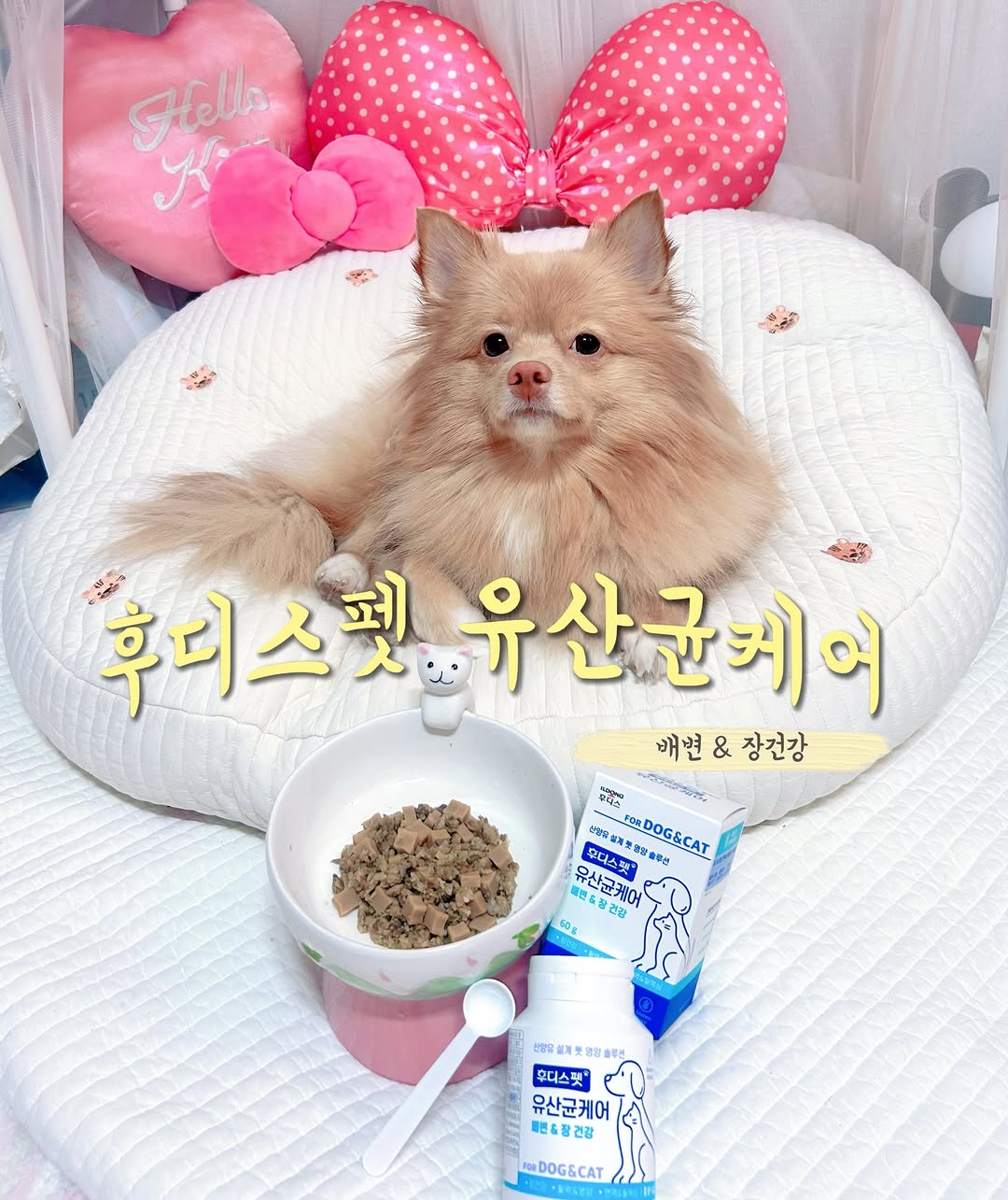 @lia_diary._이 올린 후디스펫 태그 게시물