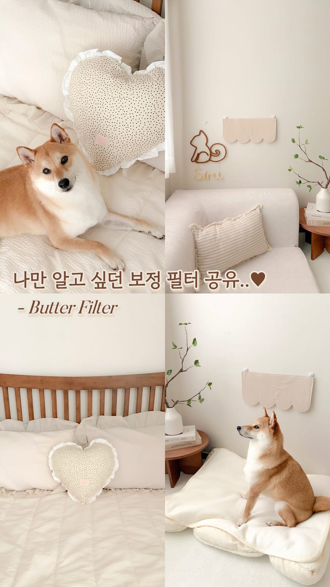 @cong_siru_이 올린 버터 필터 태그 게시물