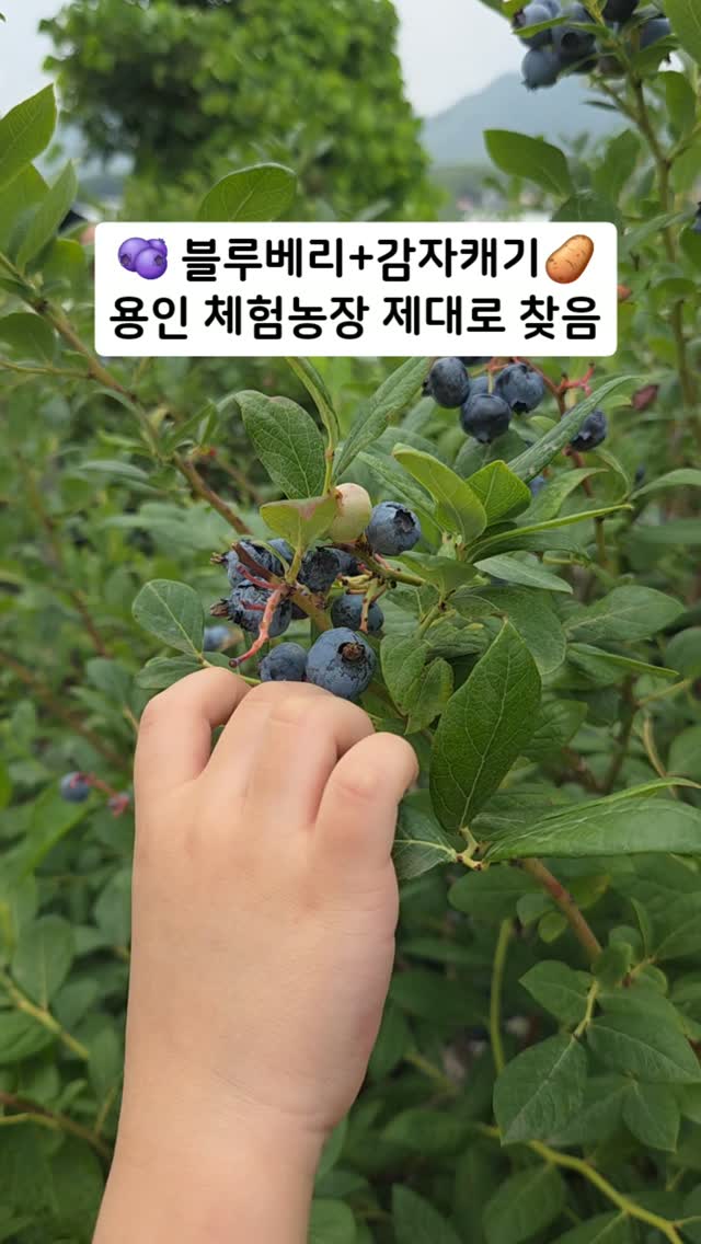 @kkk.apppy이 올린 포레스트벨 태그 게시물