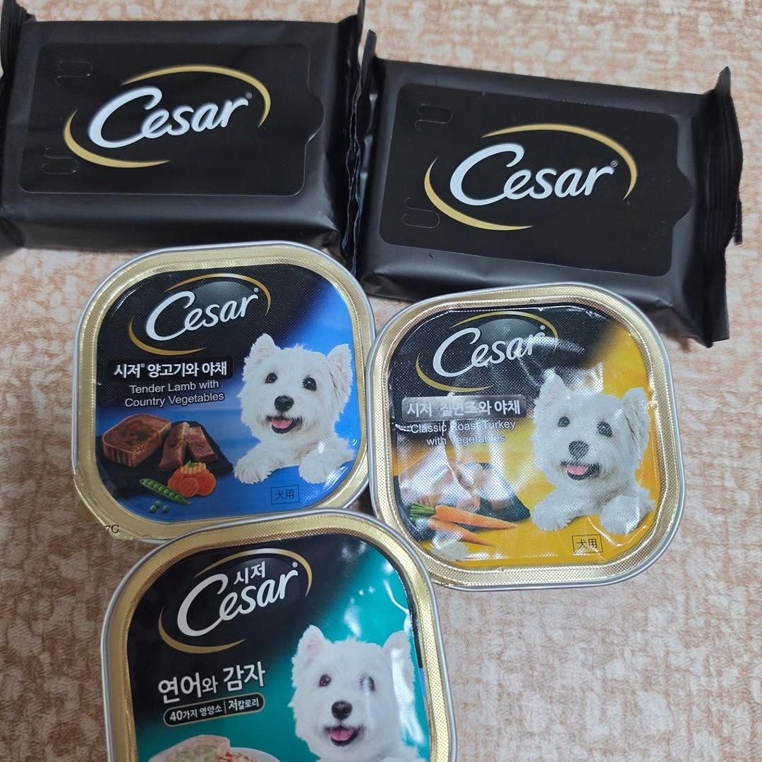 @moong_chi_m이 올린 시저® 태그 게시물