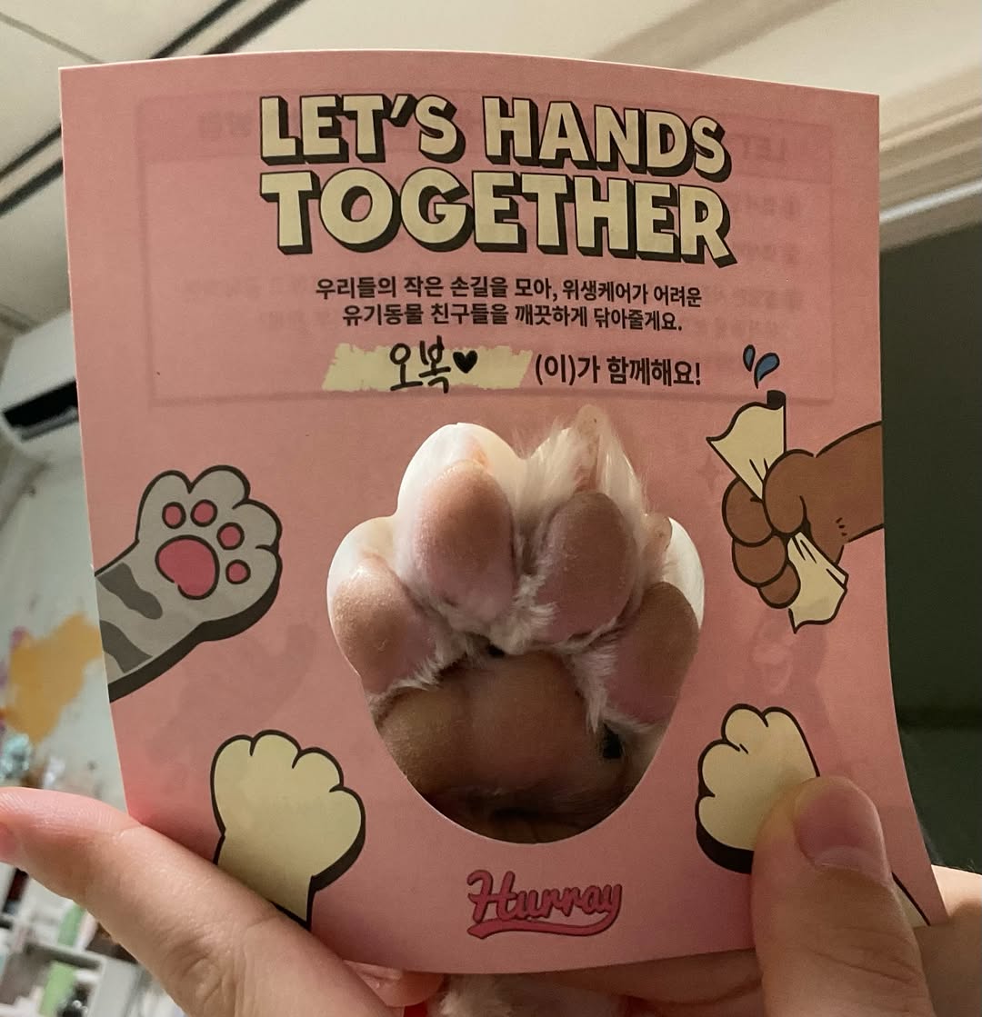 @o.o_bok이 올린 HURRAY 허레이 태그 게시물