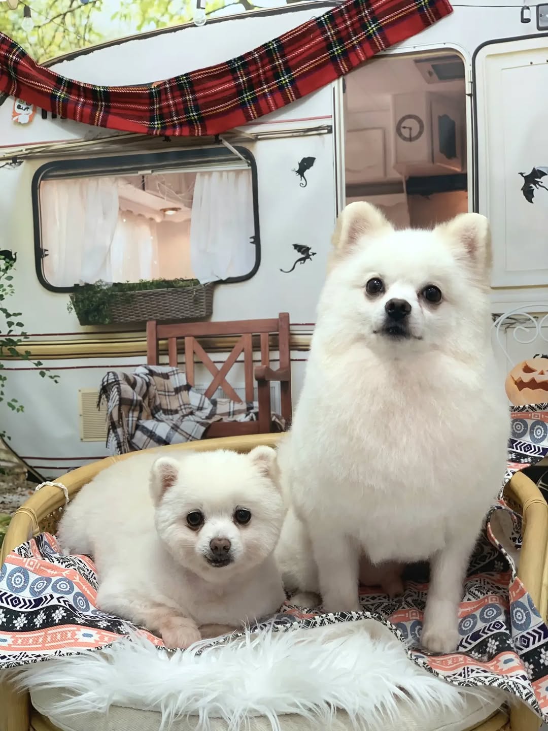 @luroro2605이 올린 아몽 맘 태그 게시물