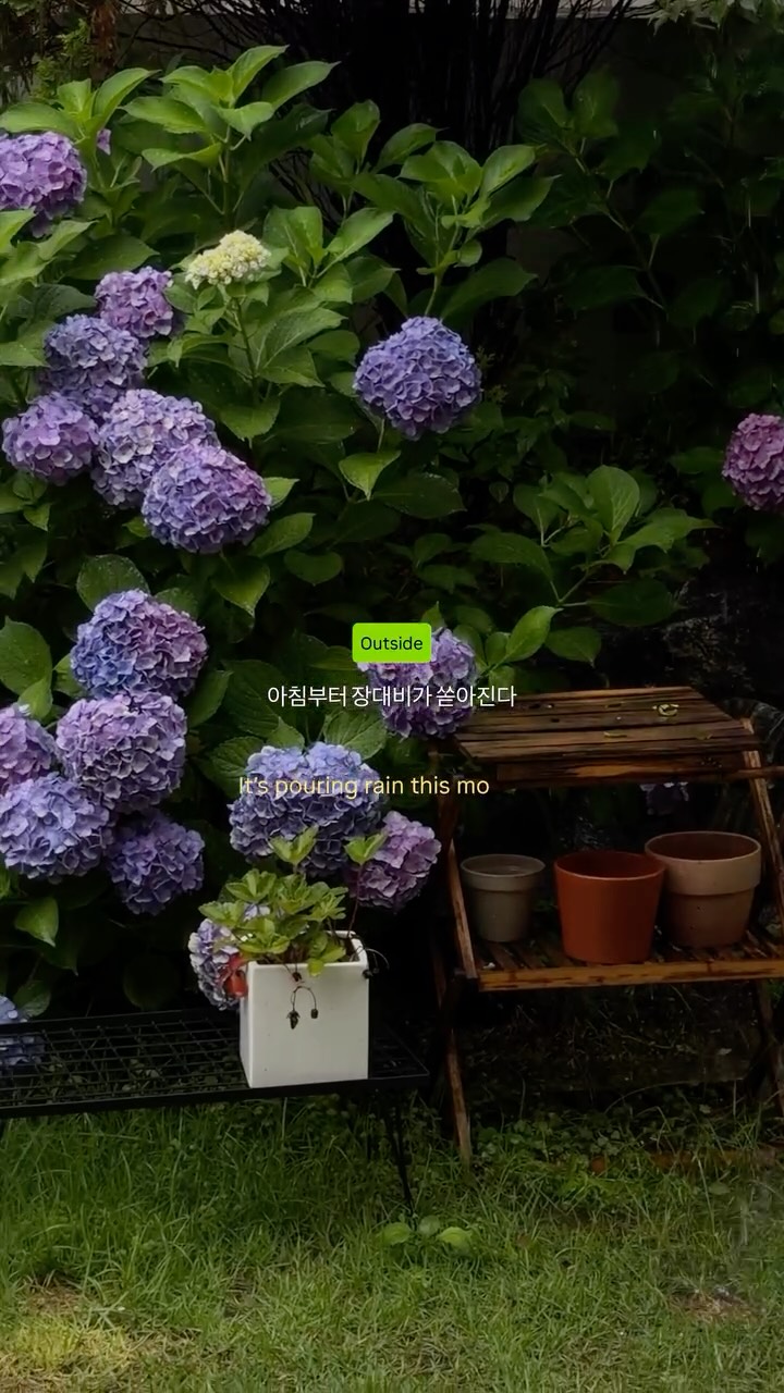 @somnunu_haus이 올린 아르케 태그 게시물