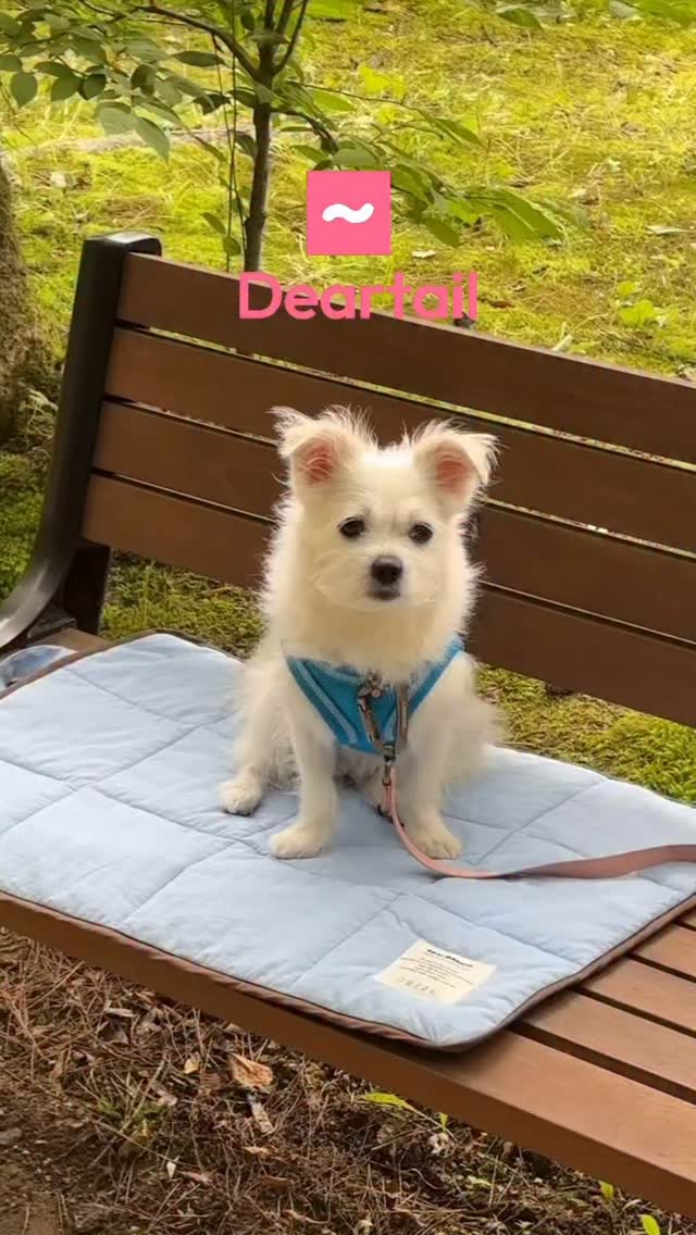 @yeoreum829이 올린 디어테일💕 태그 게시물