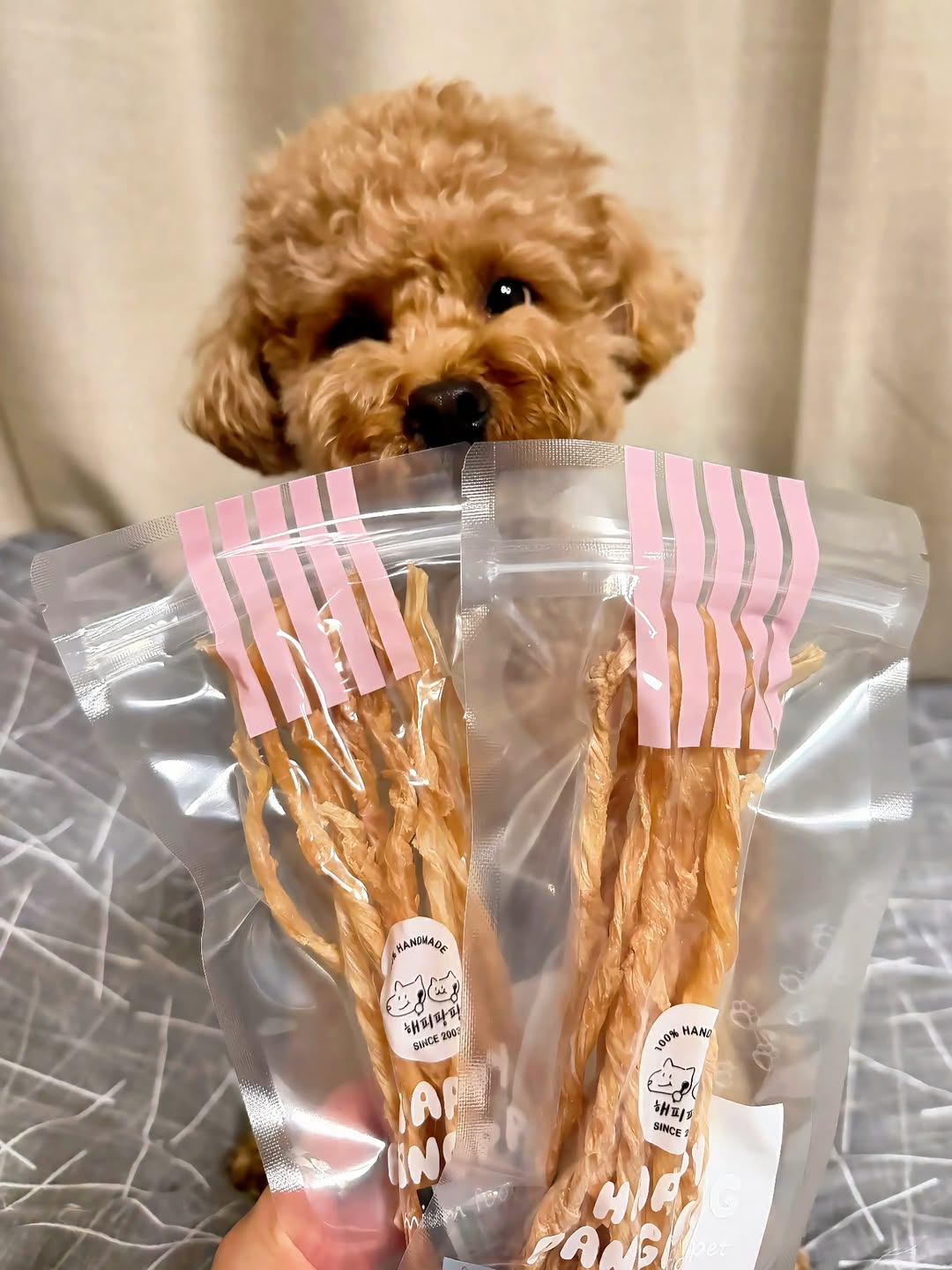 @god__leo_dano이 올린 해피팡팡｜원조 강아지 수제 간식 전문점 태그 게시물
