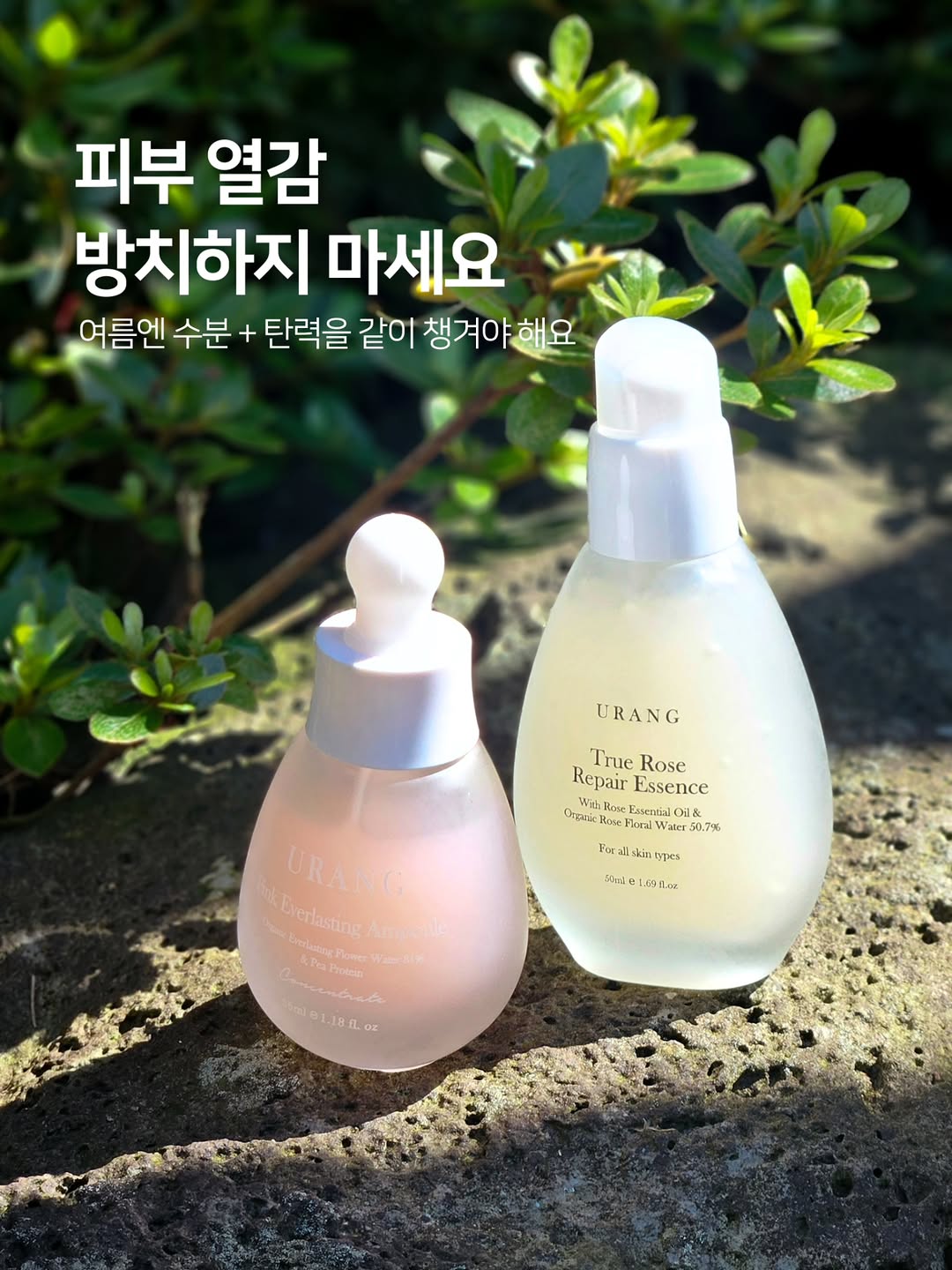@dear_sweet_pea이 올린 유랑 태그 게시물
