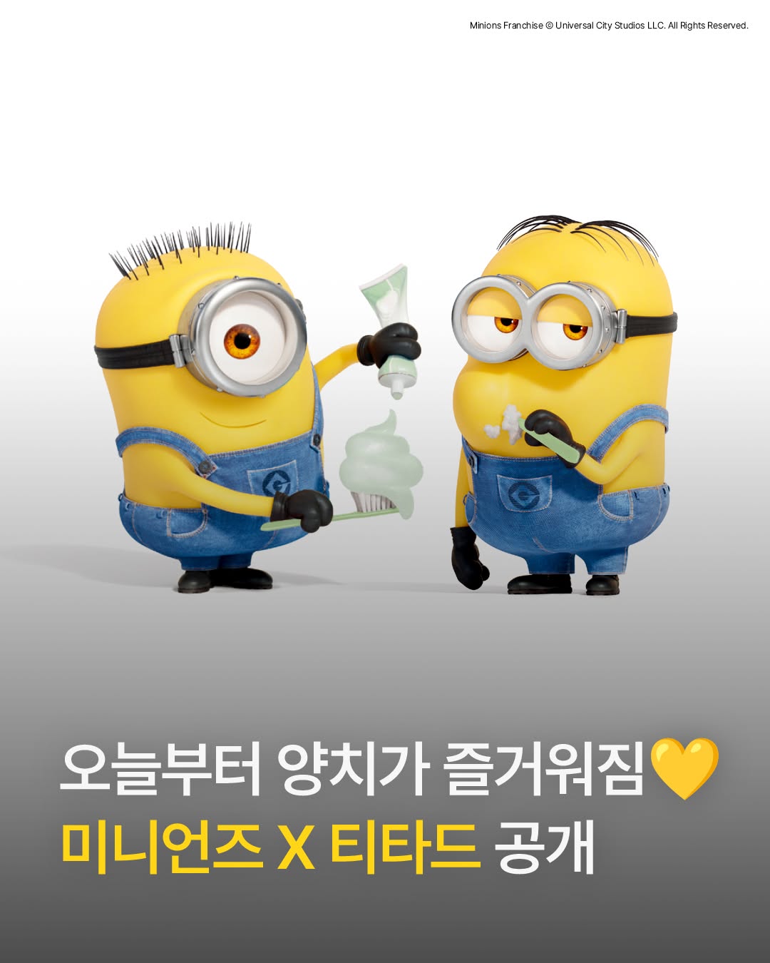 @titad.official이 올린 티타드 TITAD 태그 게시물