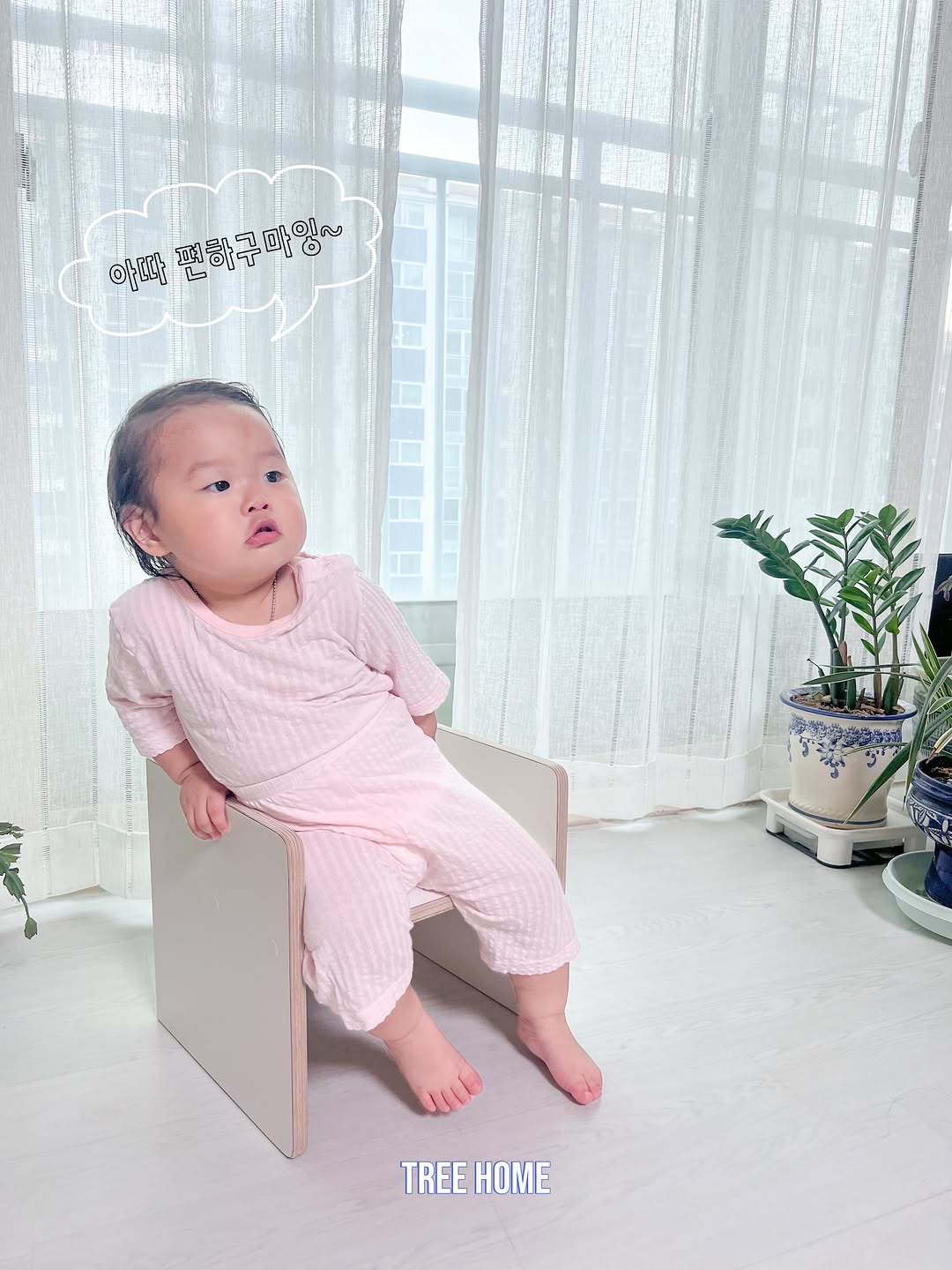 @anm___q이 올린 트리홈가구 태그 게시물
