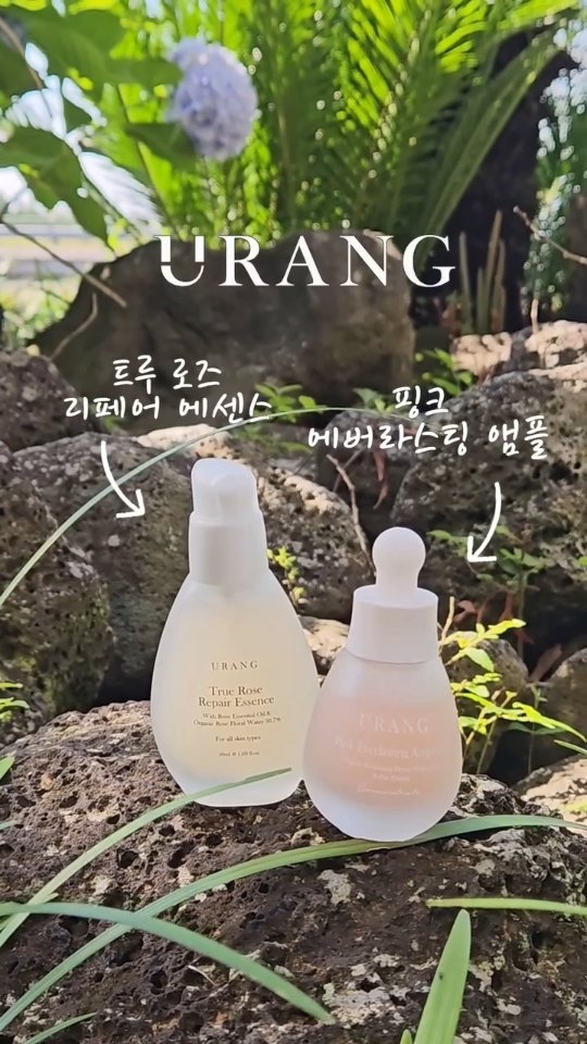 @dear_sweet_pea이 올린 유랑 태그 게시물