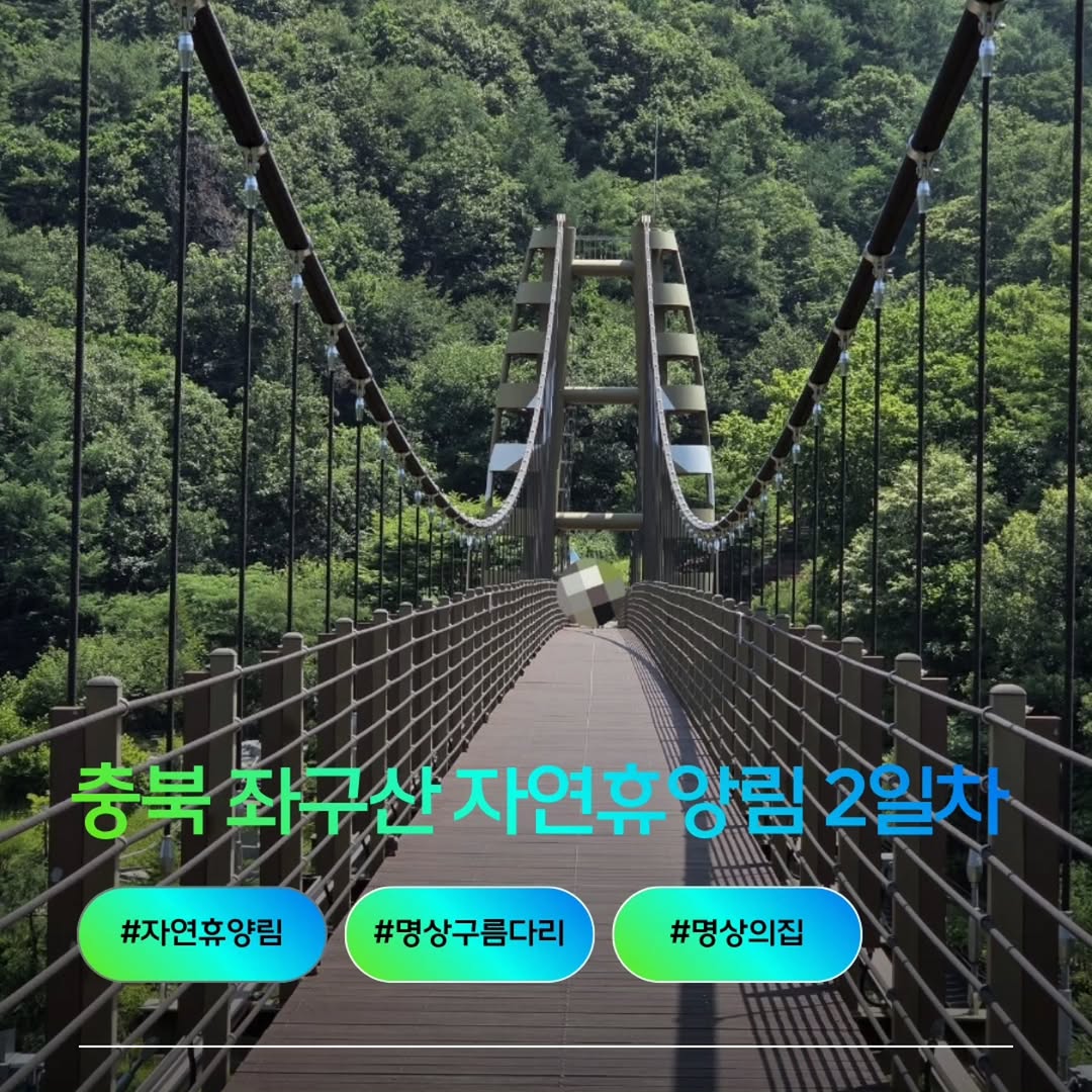@duck.9884549이 올린 증평군청 태그 게시물