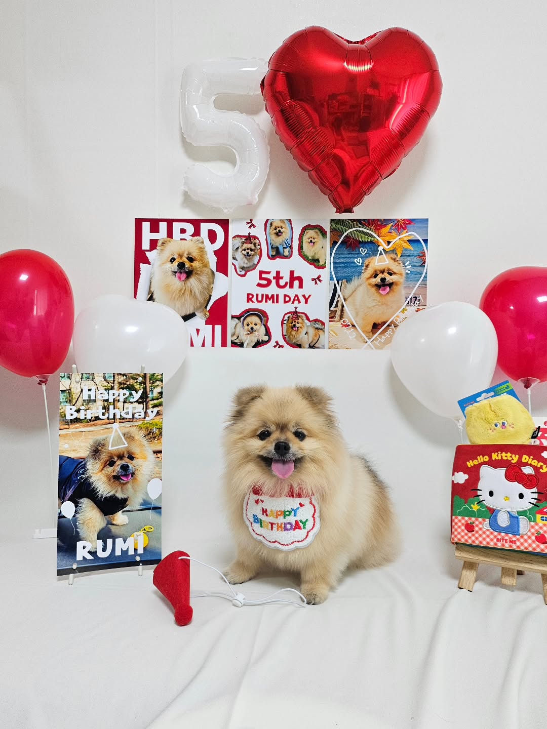 @sniff_rumi이 올린 꼬리의유혹 태그 게시물