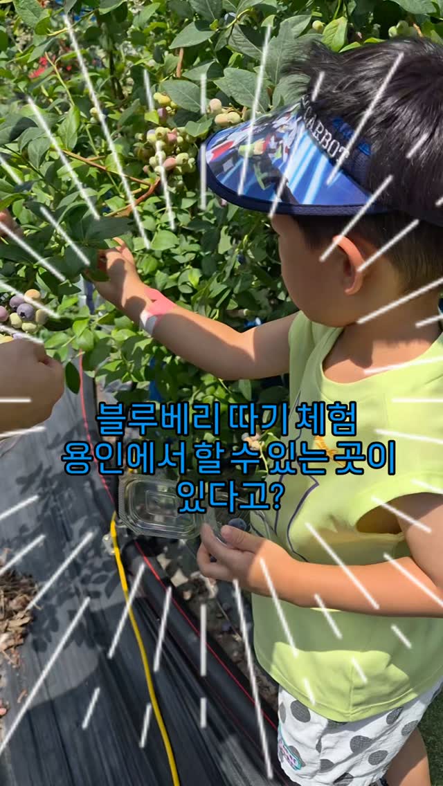 @happynursetwinmom이 올린 포레스트벨 태그 게시물