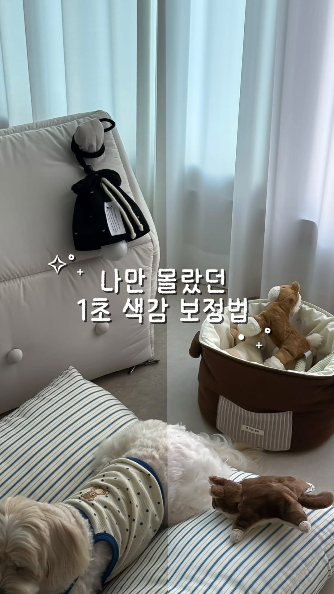 @taaaaan__2이 올린 버터 필터 태그 게시물