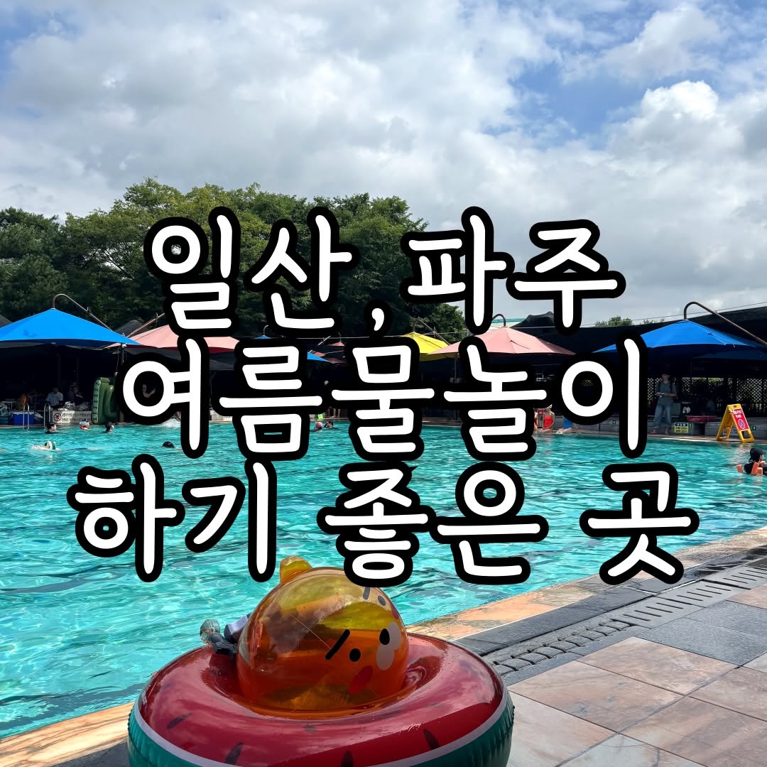 @ilsan_paju_gimpo이 올린 뮌스터담 태그 게시물