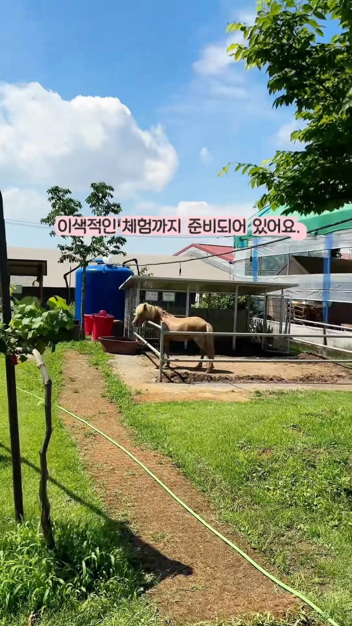 @insta_realarchive이 올린 포레스트벨 태그 게시물