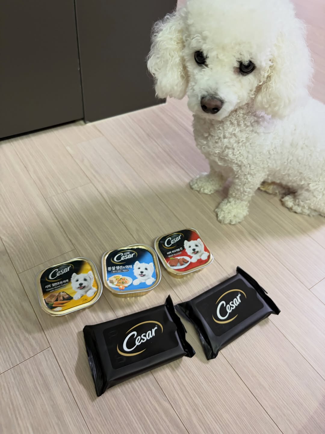 @wwei.lee이 올린 시저® 태그 게시물