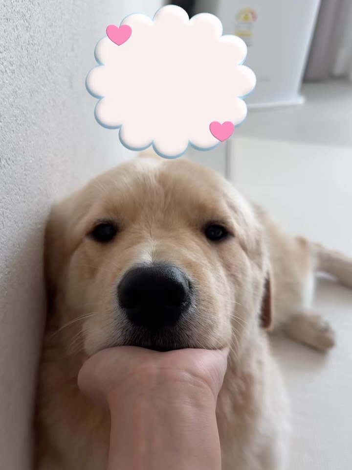 @toriipark이 올린 고강탈 태그 게시물