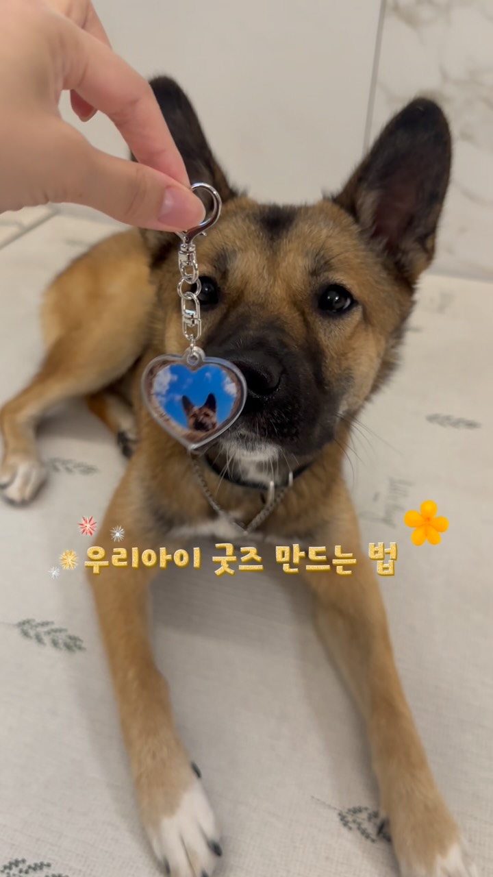@bami_days이 올린 유메이크 태그 게시물