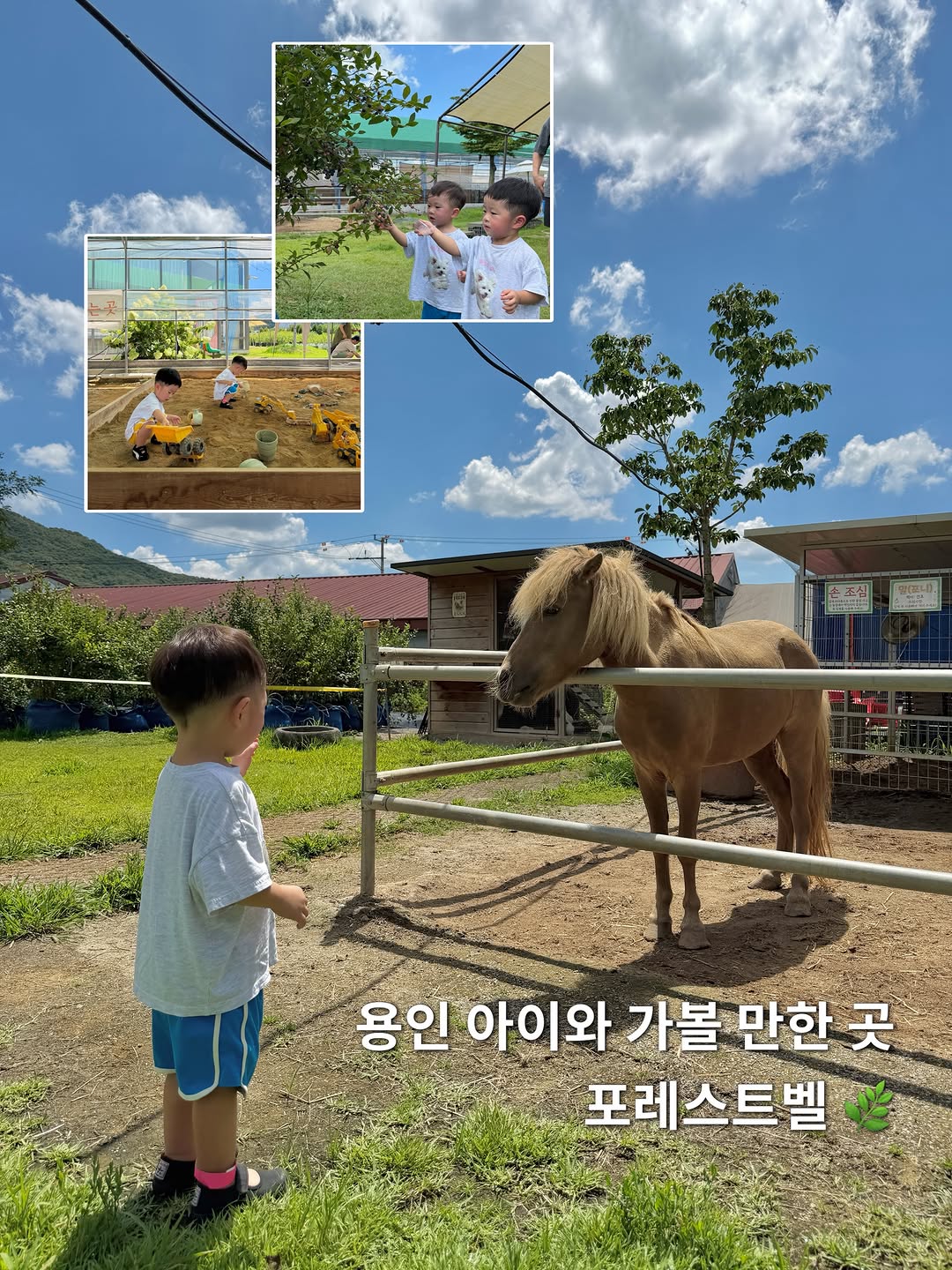 @jinji_twins이 올린 포레스트벨 태그 게시물