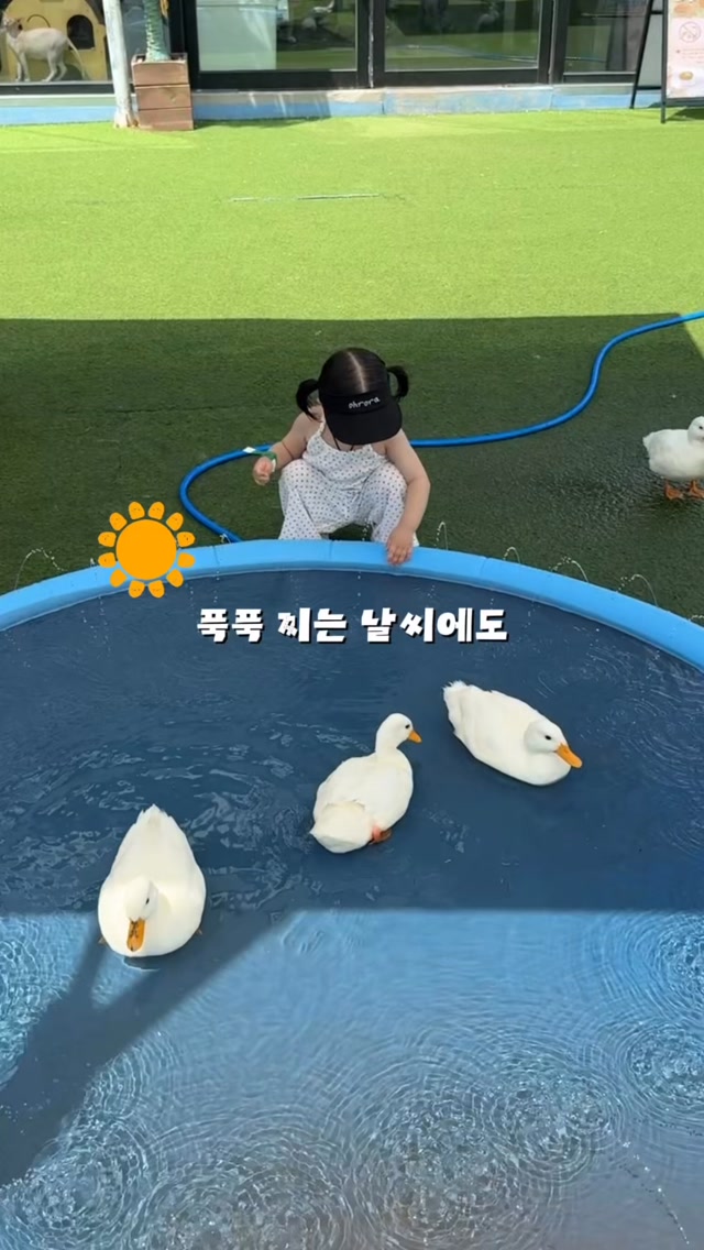 @0hrora_이 올린 궁중비책 태그 게시물