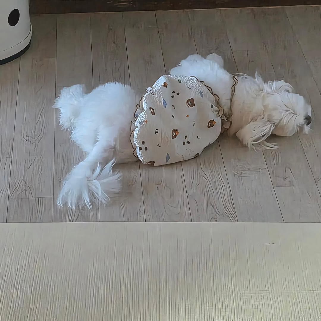 @m4r0m4r0이 올린 바잇미 태그 게시물