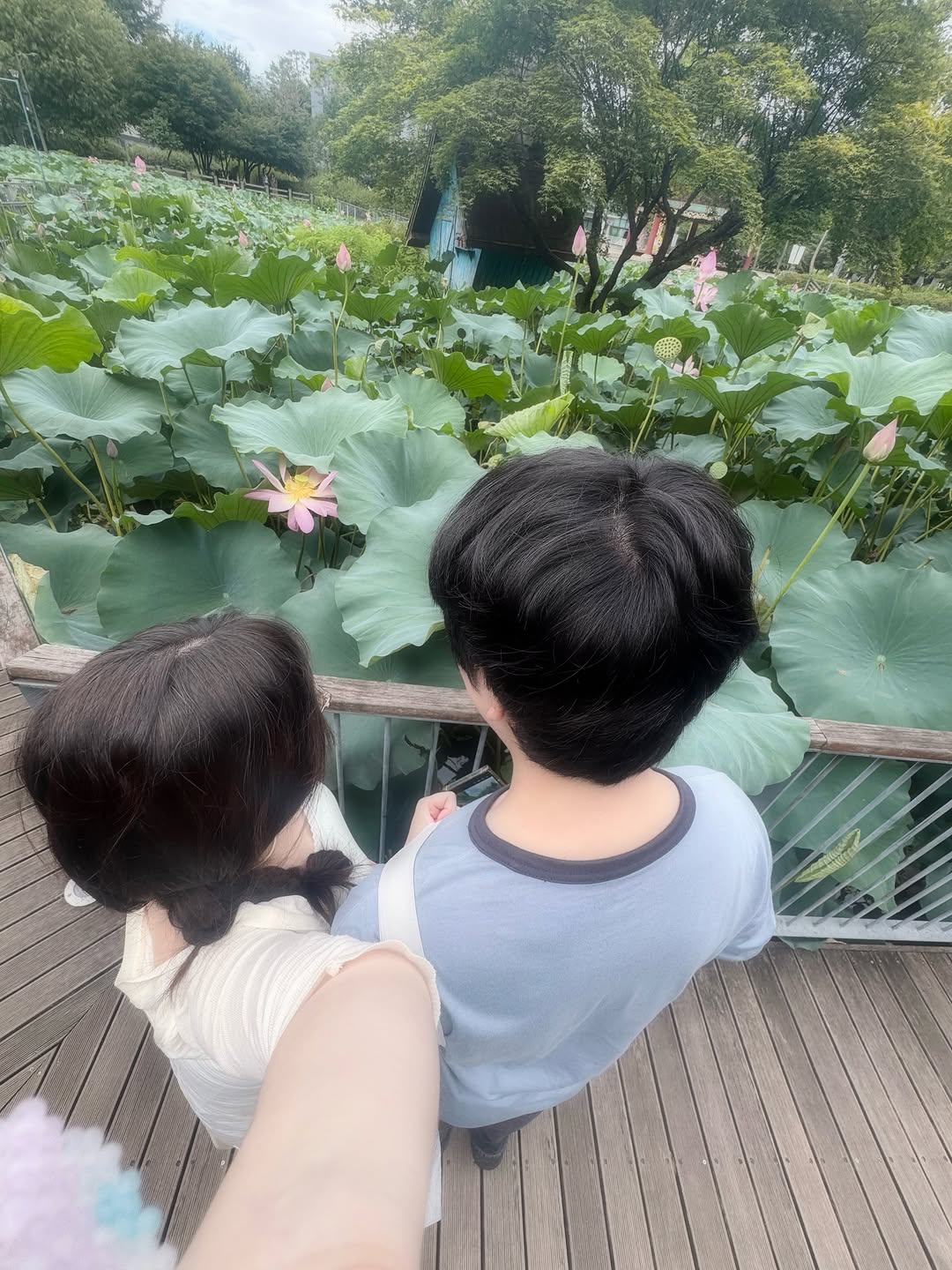 @pourtoi.dot이 올린 로맨티누어 태그 게시물