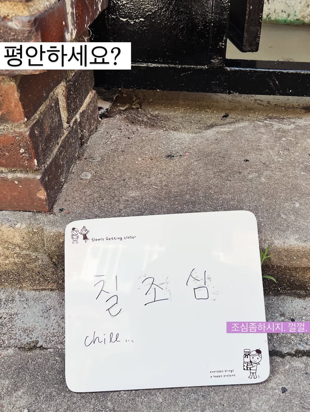 @king_of_haeparis이 올린 반디 태그 게시물
