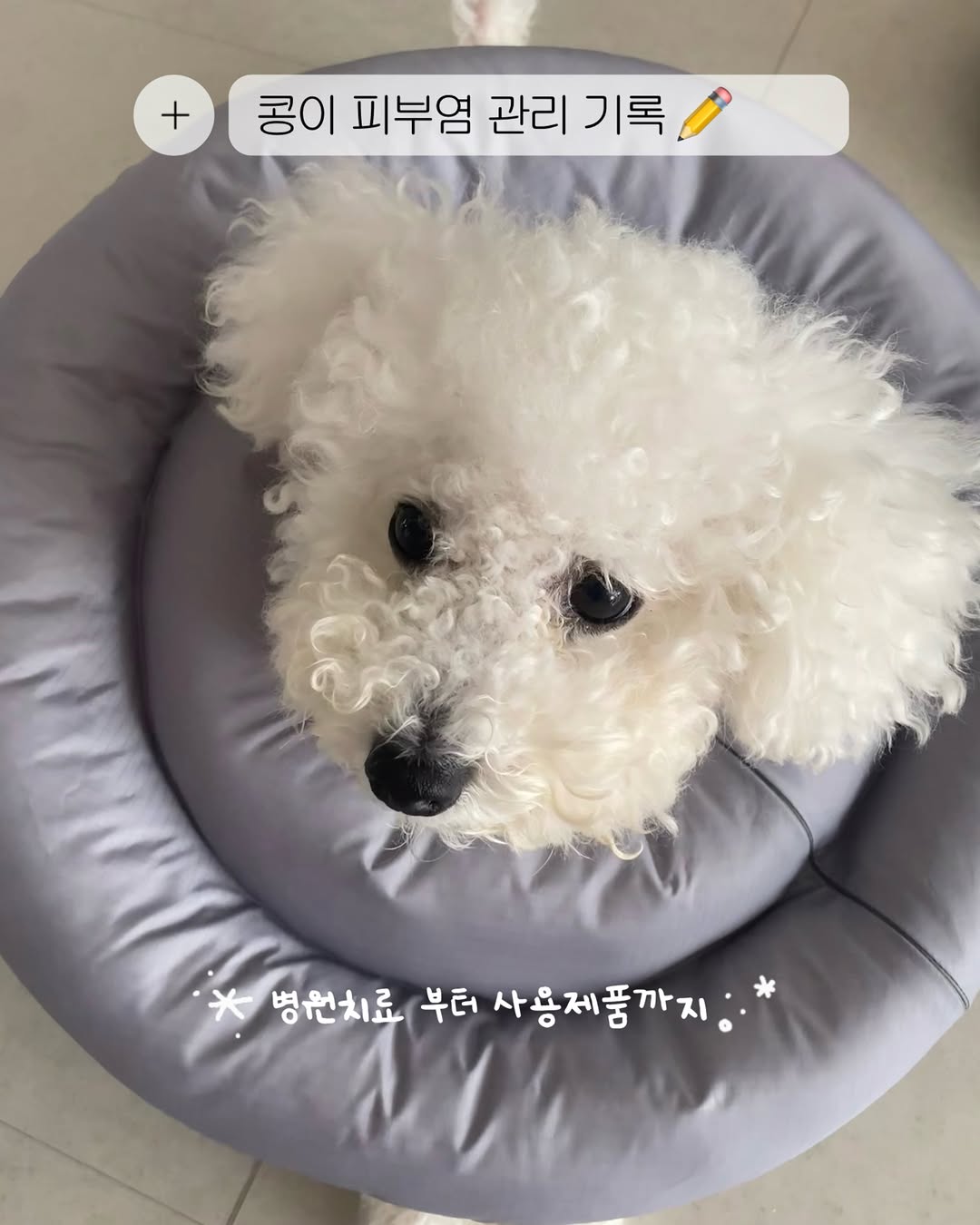 @tokongo_go이 올린 바이랩 태그 게시물