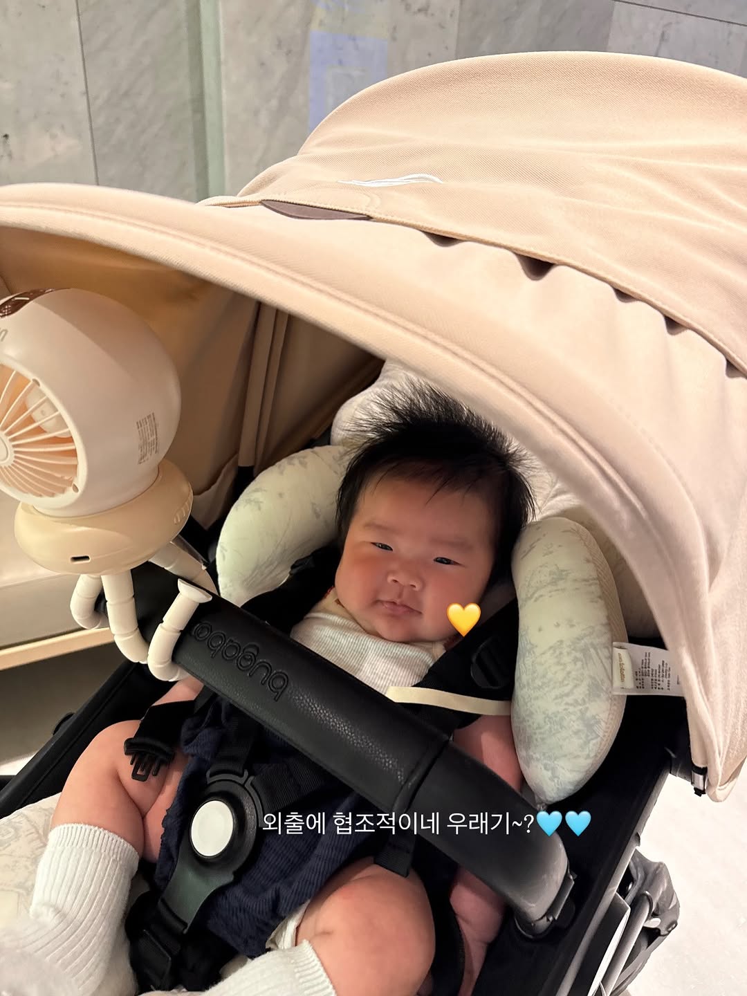 @juho0522이 올린 meinkind 태그 게시물