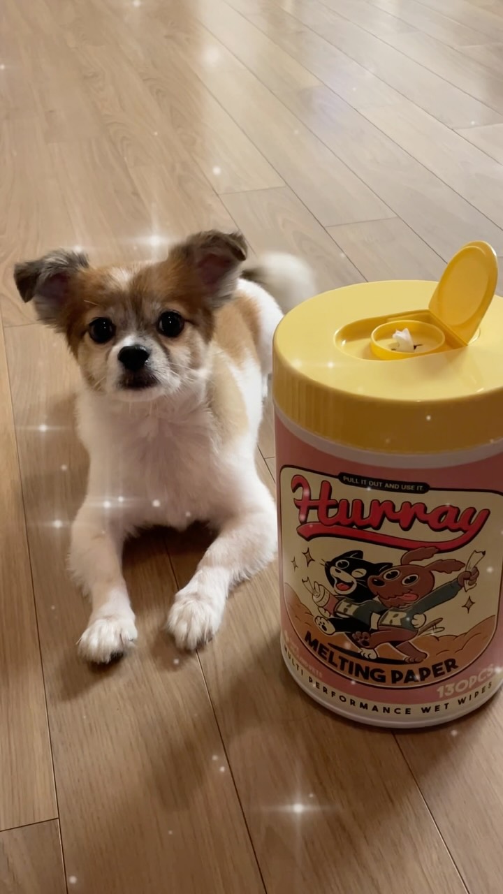 @raccoon_homegaja이 올린 HURRAY 허레이 태그 게시물