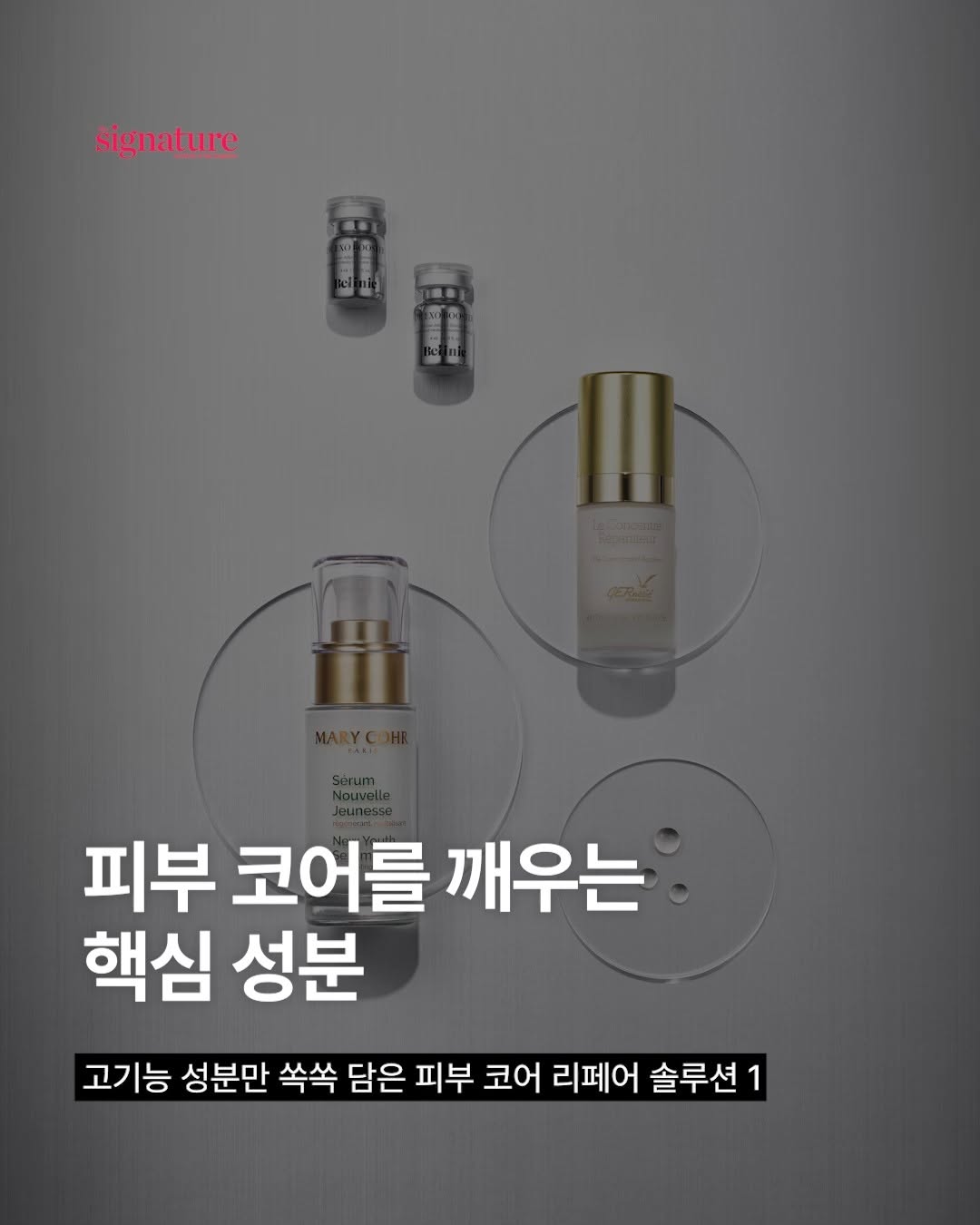 @signature_mg이 올린 벨리닉 태그 게시물