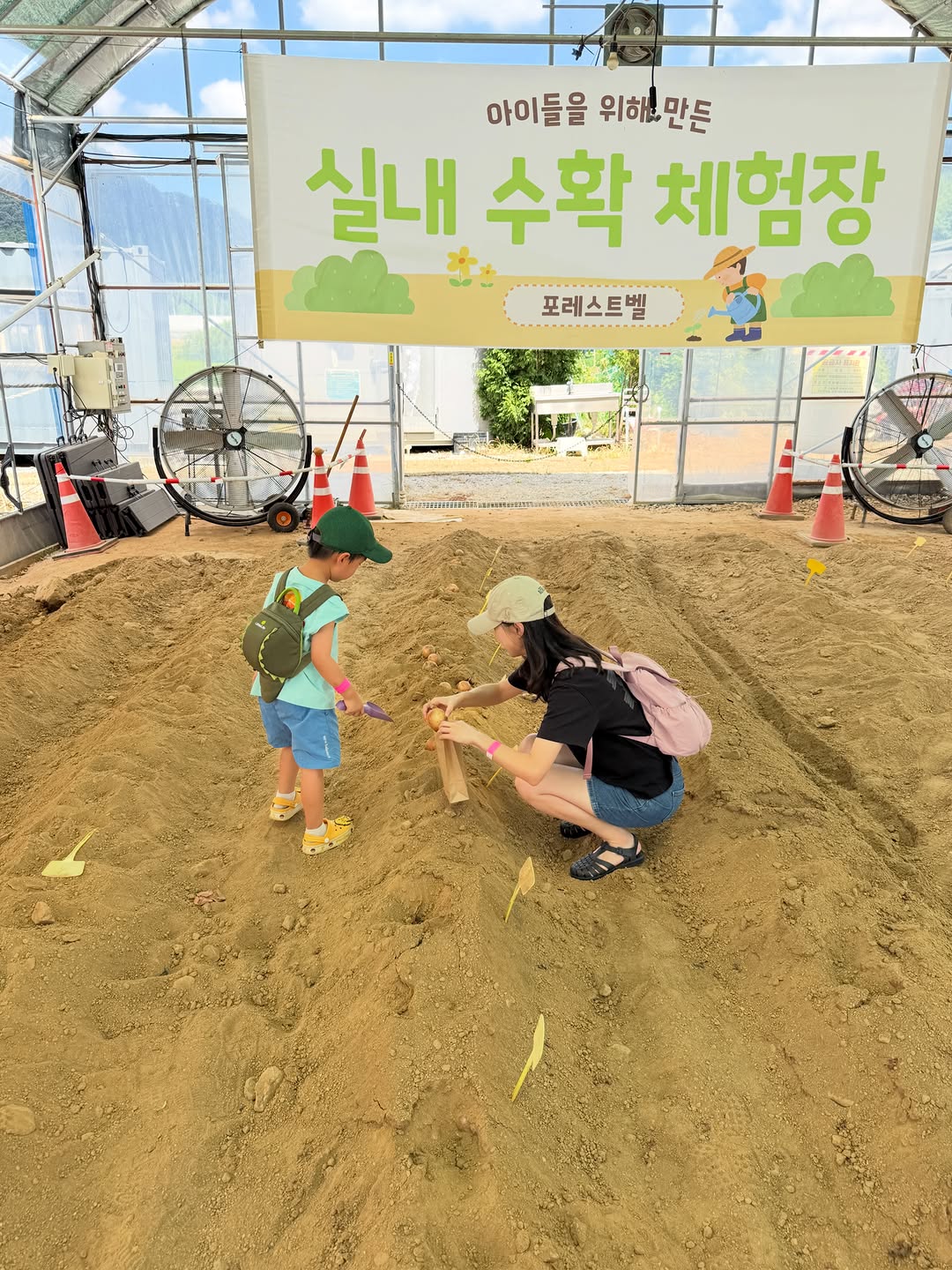 @lub.treasure이 올린 포레스트벨 태그 게시물