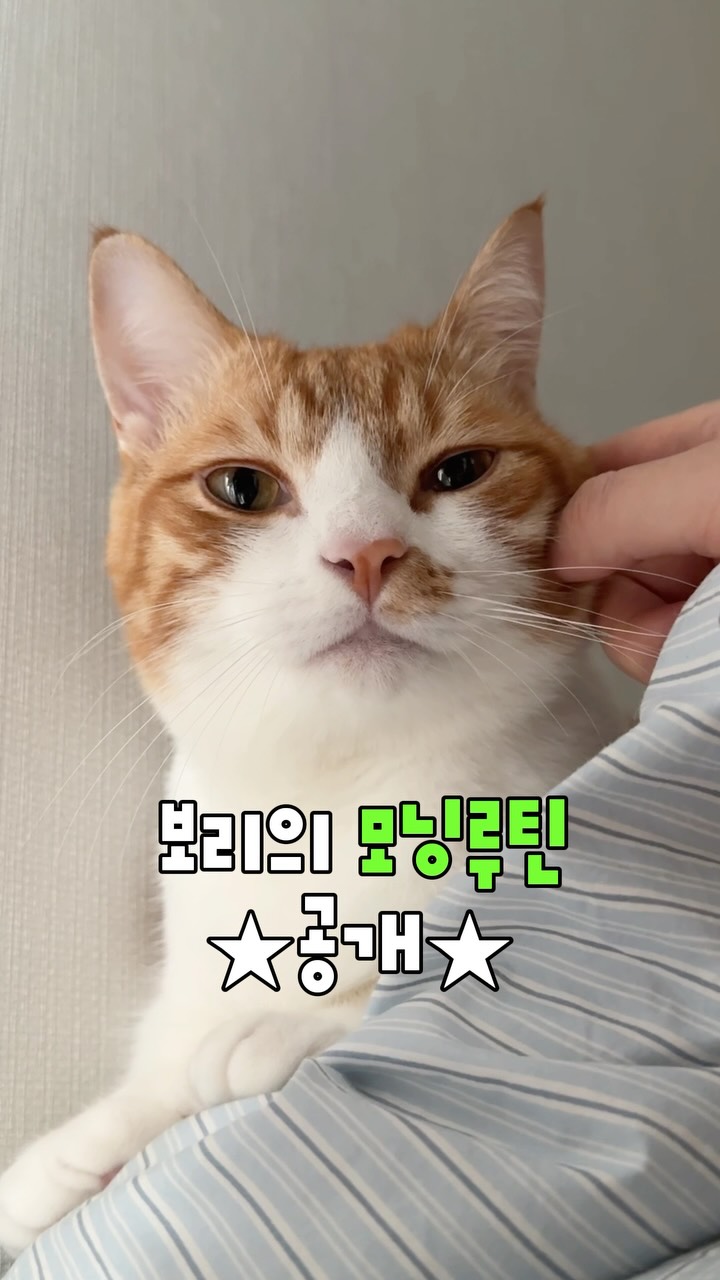 @i.am_boree이 올린 바이랩 태그 게시물