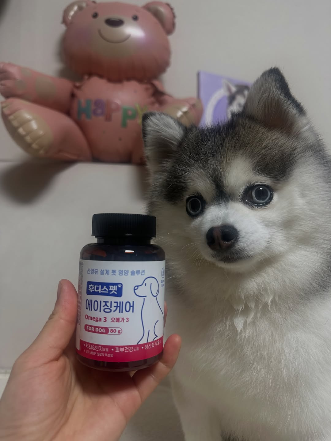 @ehrooo_l이 올린 후디스펫 태그 게시물